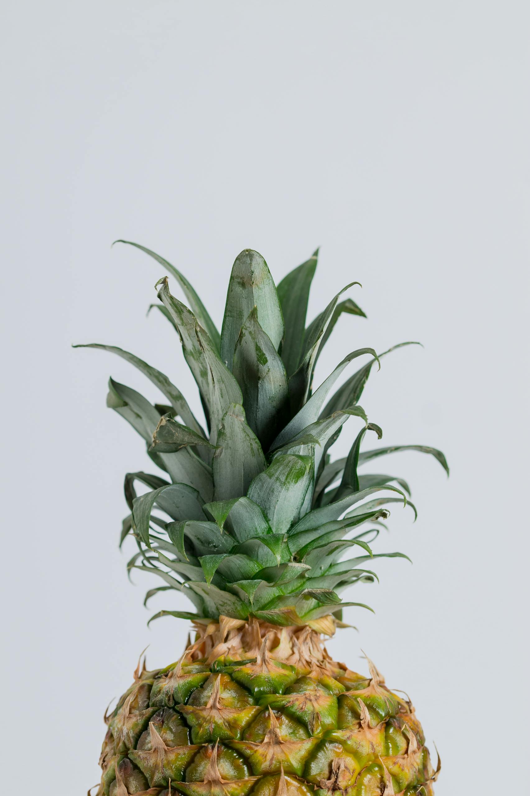 A detailed close-up of a ripe pineapple displaying its vibrant colors against a plain white backdrop.